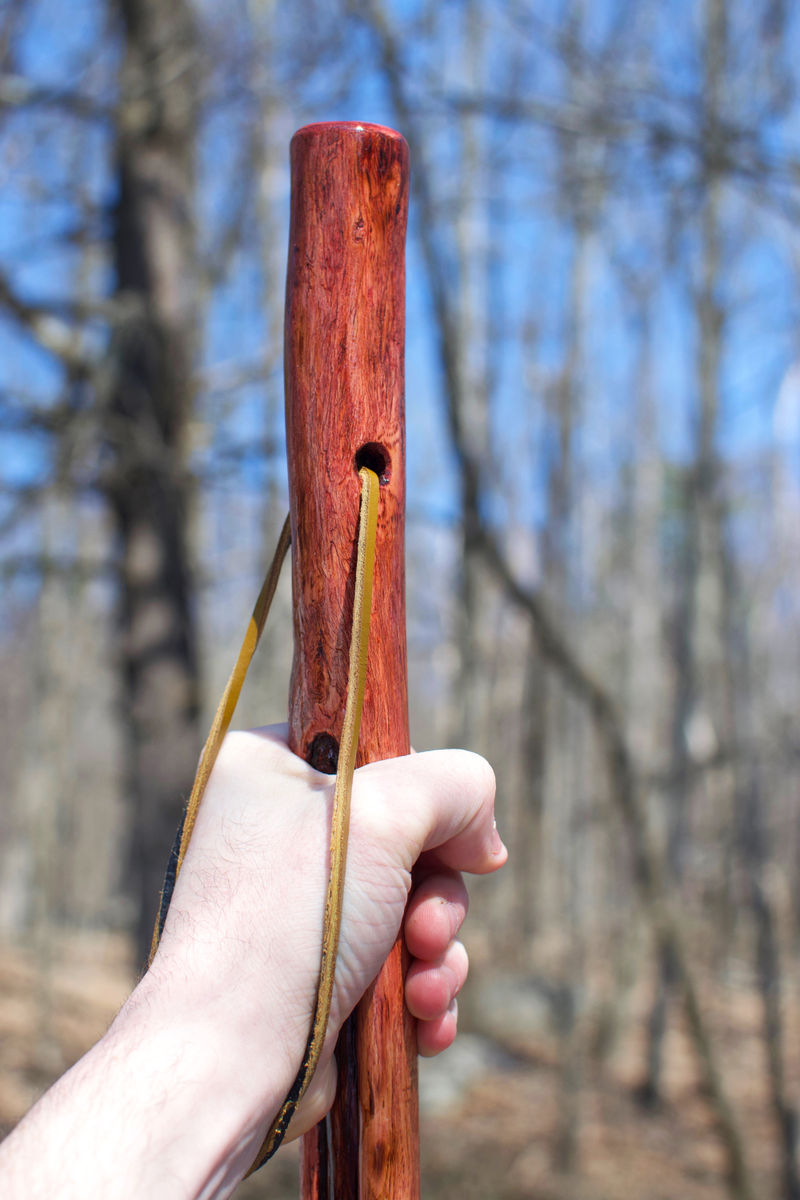 Illustration for article titled made a walking stick